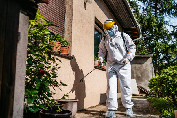 Best Pest Control Cost  in Laughlin Af, TX