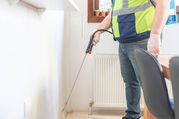 Best Termite Control Services  in Laughlin Af, TX